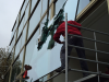 151030_zwaarglas_blom_glasservice8